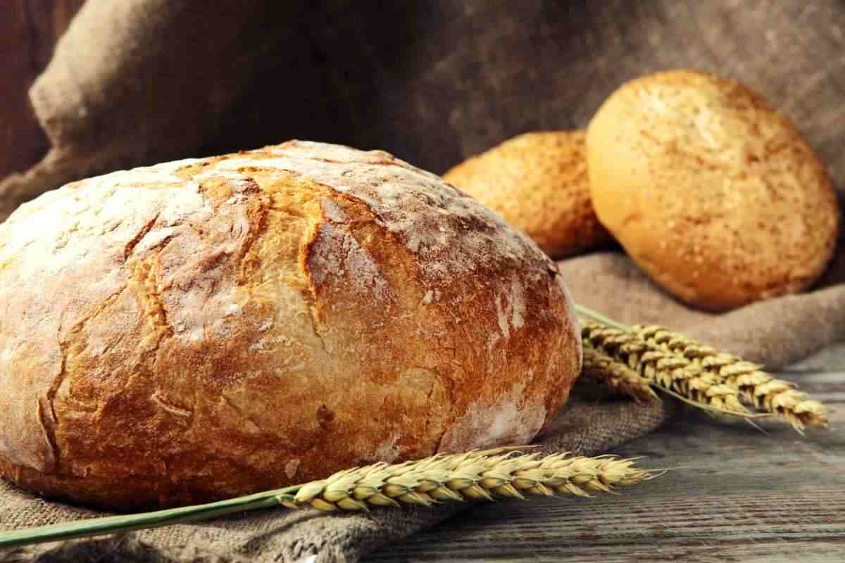 Pane